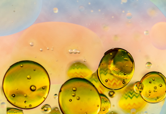 首页- 人生就是博中国官方网站